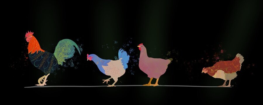 rooster and hens