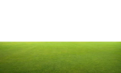 Green grass lawn field with transparent background © jamesteoh.art