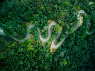 Top view aerial drone shot of winding road through dense green forest © artrachen