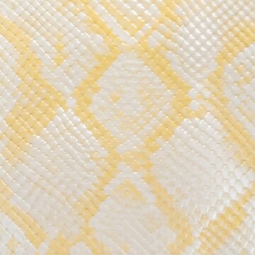 Macro photography of royal white albino python snake skin texture with yellow pastel pattern