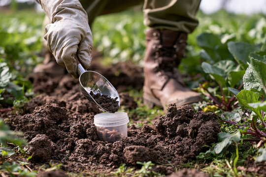 Field researcher collecting tropical farm soil sample for environmental parasitology and rural sanitation exposure assessment
