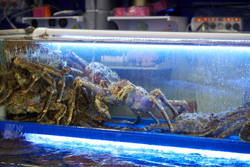 Fresh raw snow crabs known as Daege piled in a blue water container at a traditional Korean seafood market © mnimage