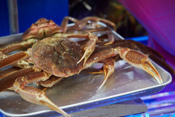 Fresh raw snow crabs known as Daege piled in a blue water container at a traditional Korean seafood market © mnimage