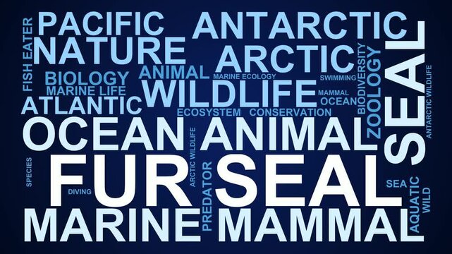 Fur Seal Word Cloud
