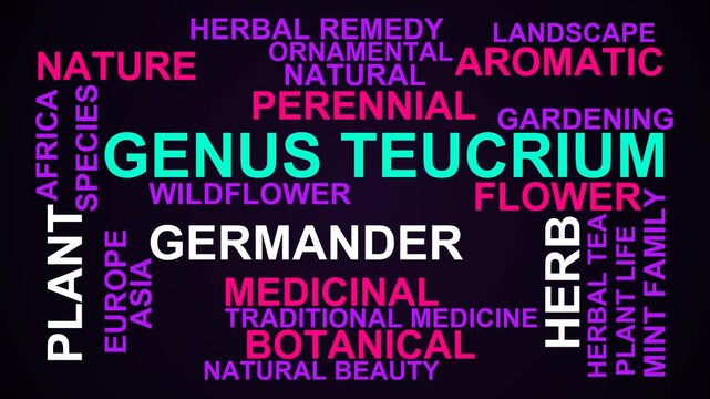 Genus Teucrium Word Cloud