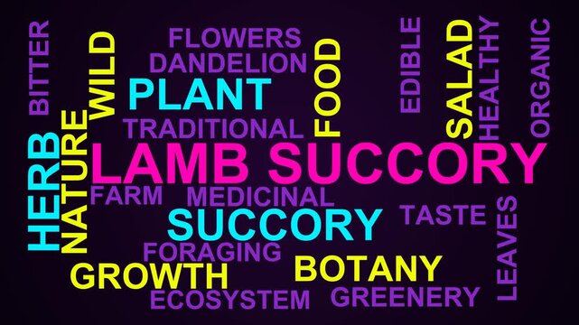 Lamb Succory Word Cloud