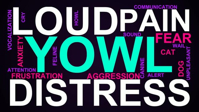 Yowl Word Cloud