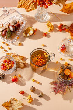 Cozy autumn still life with tea berries and acorns