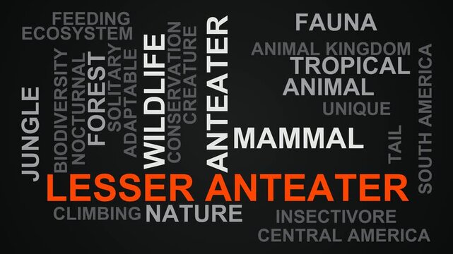 Lesser Anteater Word Cloud