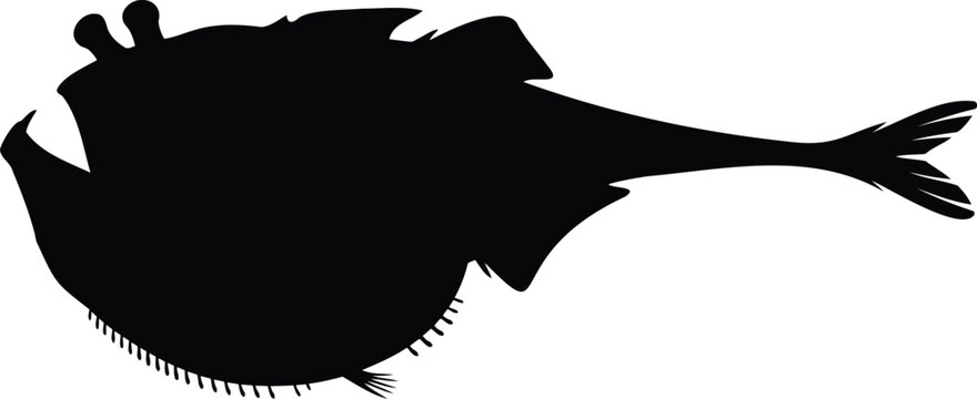 Black silhouette of a hatchetfish with spines and antennae white background