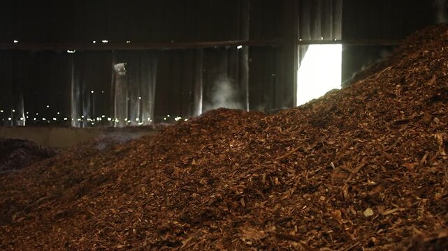 Close-up footage of a large pile of brown shredded wood chips and organic biomass material. The rough texture and layered fragments illustrate organic material processing, biomass resources, wood recy
