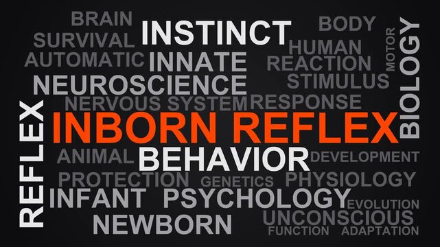 Inborn Reflex Word Cloud