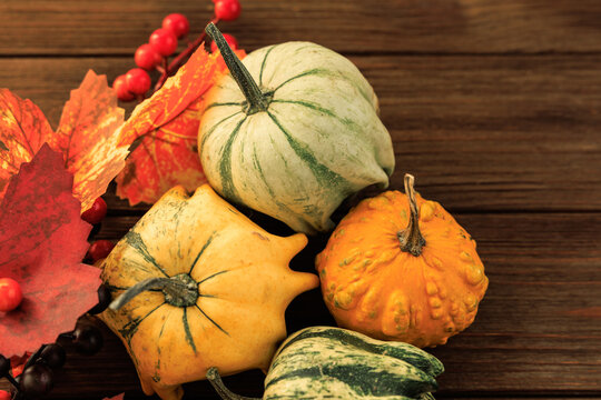 Colorful gourds and autumn leaves arranged on a wooden background for seasonal decoration