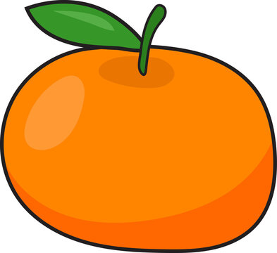 Cute Orange Fruit Vector
