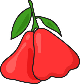 Red Rose Apple Fruit Vector