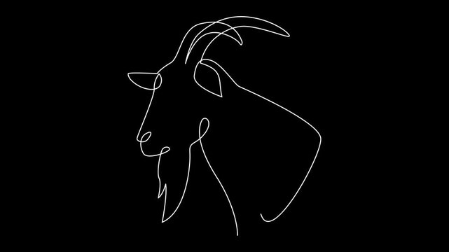 Animated Continuous Line Drawing of a Goat's Head in Profile on a Black Background, Minimalist Vector Art