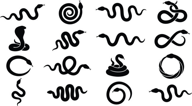 Diverse collection of snake silhouettes in various coiled and slithering poses, isolated on a white background, for nature and animal