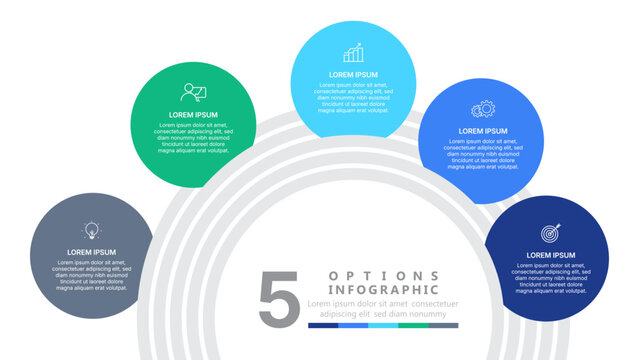 Modern 5 options infographic template with colorful circular steps, business data visualization, and process flowchart design