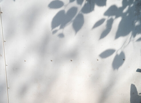 Subtle play of light and shadows on a textured white surface.