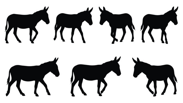 Donkey silhouettes in seven different walking poses