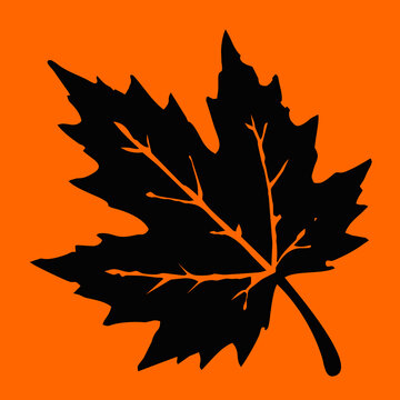 Maple leaf vector icon autumn foliage silhouette for seasonal design and nature branding.