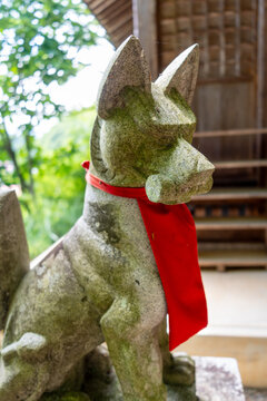 Inari fox statue at Nishikiyama Shrine in Takayama, Japan