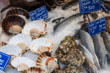 Fresh scallops, oysters and sea bass on ice at a food market © SellStock