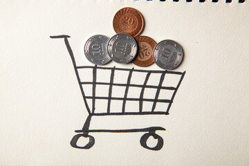 Shopping cart and coins on paper background. © Artvibe