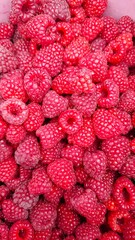 Fresh ripe raspberries served on a plate © Iryna