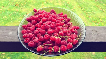 Fresh ripe raspberries served on a plate © Iryna