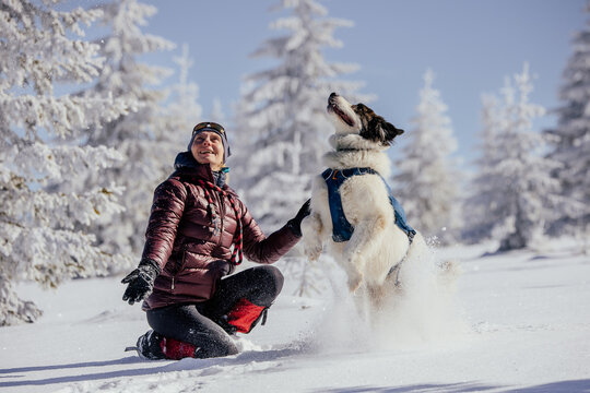 Woman with dogs playing outdoors in winter in great snow. 