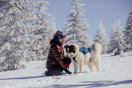 Woman with dogs playing outdoors in winter in great snow. 