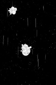 Black ink splatter drops and stains overlay texture, drips style on black background