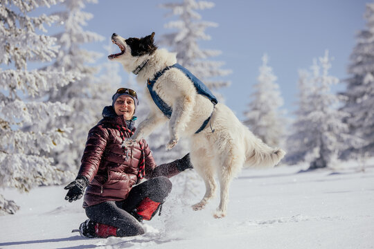 Woman with dogs playing outdoors in winter in great snow. 