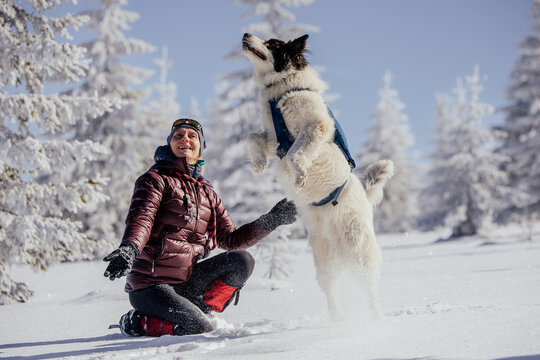 Woman with dogs playing outdoors in winter in great snow. 