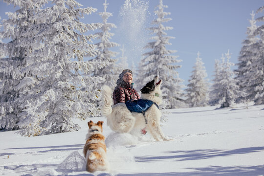 Woman with dogs playing outdoors in winter in great snow. 