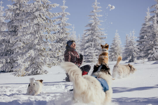 Woman with dogs playing outdoors in winter in great snow. 