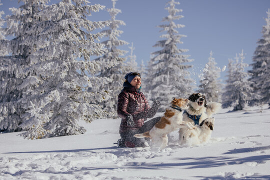 Woman with dogs playing outdoors in winter in great snow. 