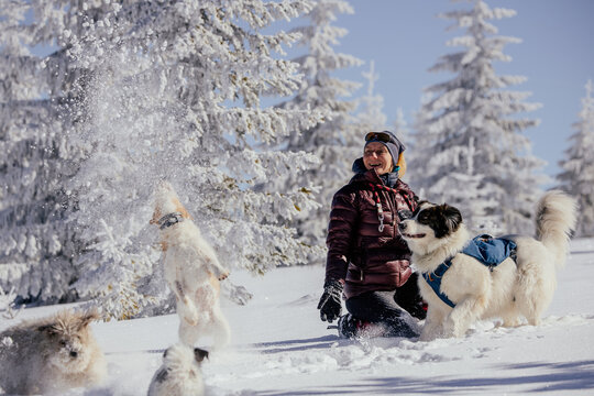 Woman with dogs playing outdoors in winter in great snow. 