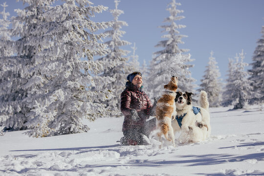 Woman with dogs playing outdoors in winter in great snow. 