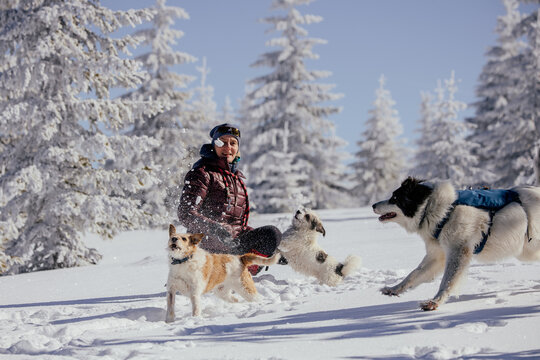 Woman with dogs playing outdoors in winter in great snow. 