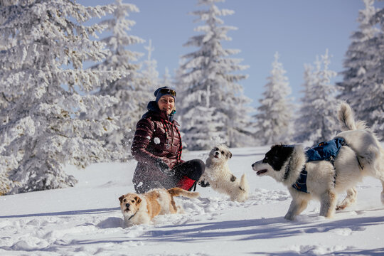 Woman with dogs playing outdoors in winter in great snow. 