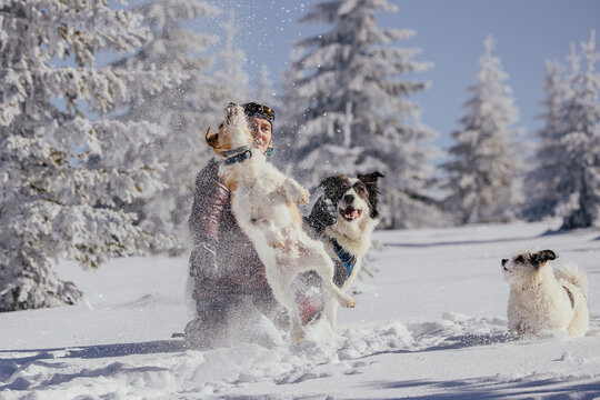 Woman with dogs playing outdoors in winter in great snow. 