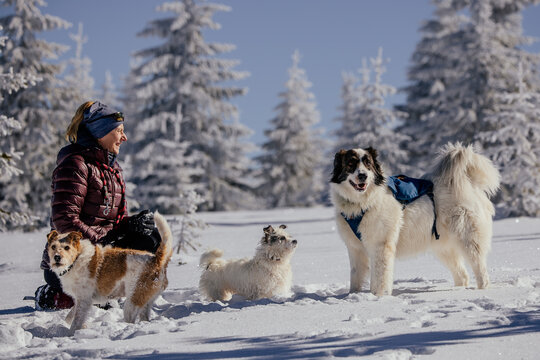 Woman with dogs playing outdoors in winter in great snow. 