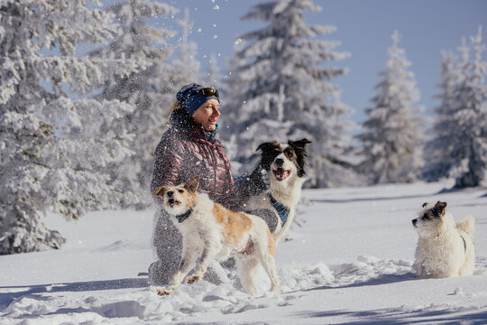 Woman with dogs playing outdoors in winter in great snow. 