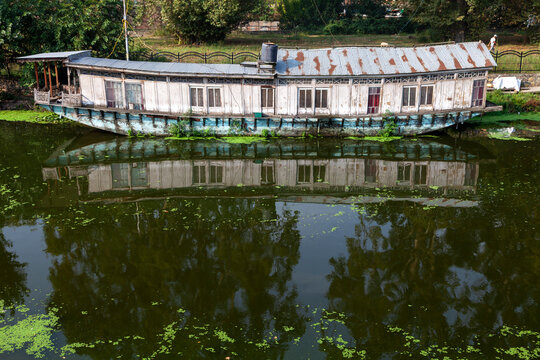 Old abandoned wooden houseboat moored on a green pond, Jammu and Kashmir, Srinagar, India