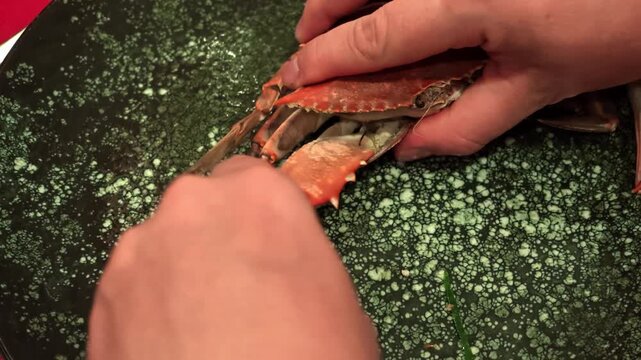 Close-up hands cracking cooked crab claw to extract white meat, tabletop background with whole crab shell visible, warm kitchen light highlighting orange shell and glossy texture, deliberate peeling