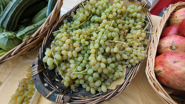 wine grapes ready to be crushed
