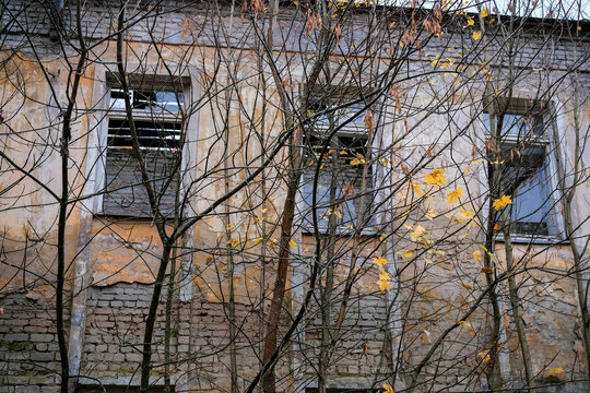 Abandoned deteriorating building hidden behind tangled autumn trees with yellow leaves, damaged brickwork and broken windows. Eerie atmosphere of danger, neglect, structural decay