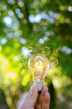 Light bulbs that grow, in the concept of energy in nature.